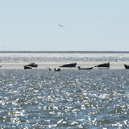 Daire Hilligenlei Zi 05 Dz